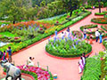 Attraction in ooty