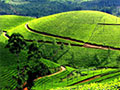 Attraction in ooty
